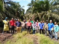 Felcra Niaga Fertilizer Manufacturer Agro Input Supplier